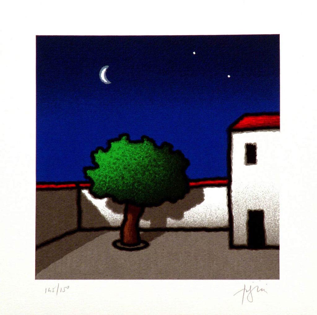 Tino Stefanoni - Nuovo cortile - 329